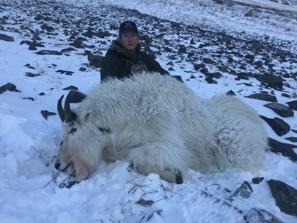 Mountain Goat Hunt in Kodiak Island