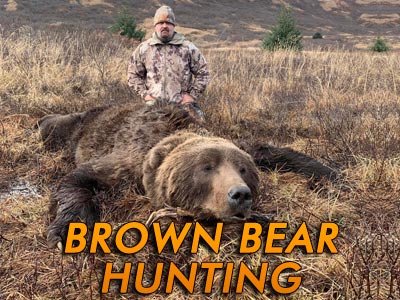 Kodiak Brown Bear Hunting