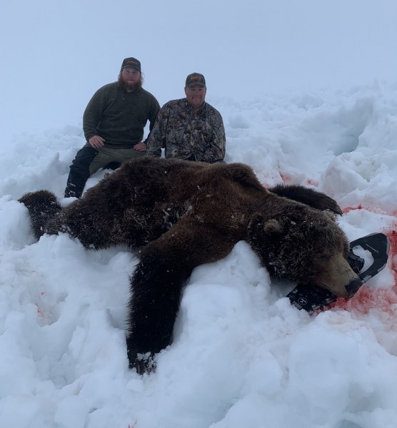 Kodiak Brown Bear Hunting