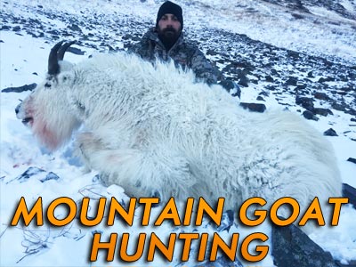 Mountain Goat Hunting